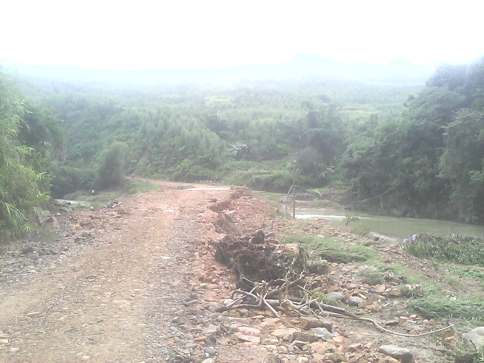 IMG0250A.jpg