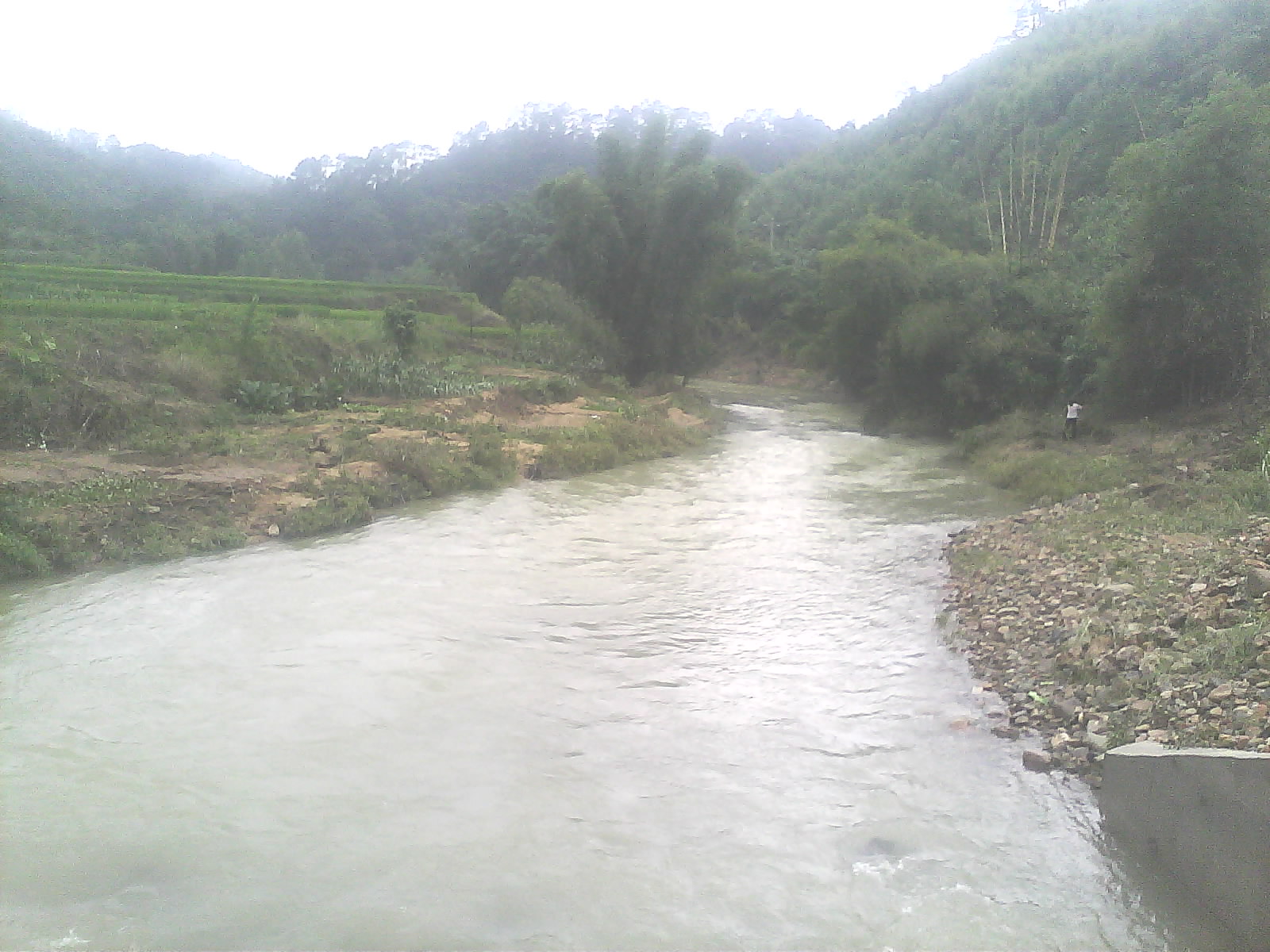 IMG0255A.jpg