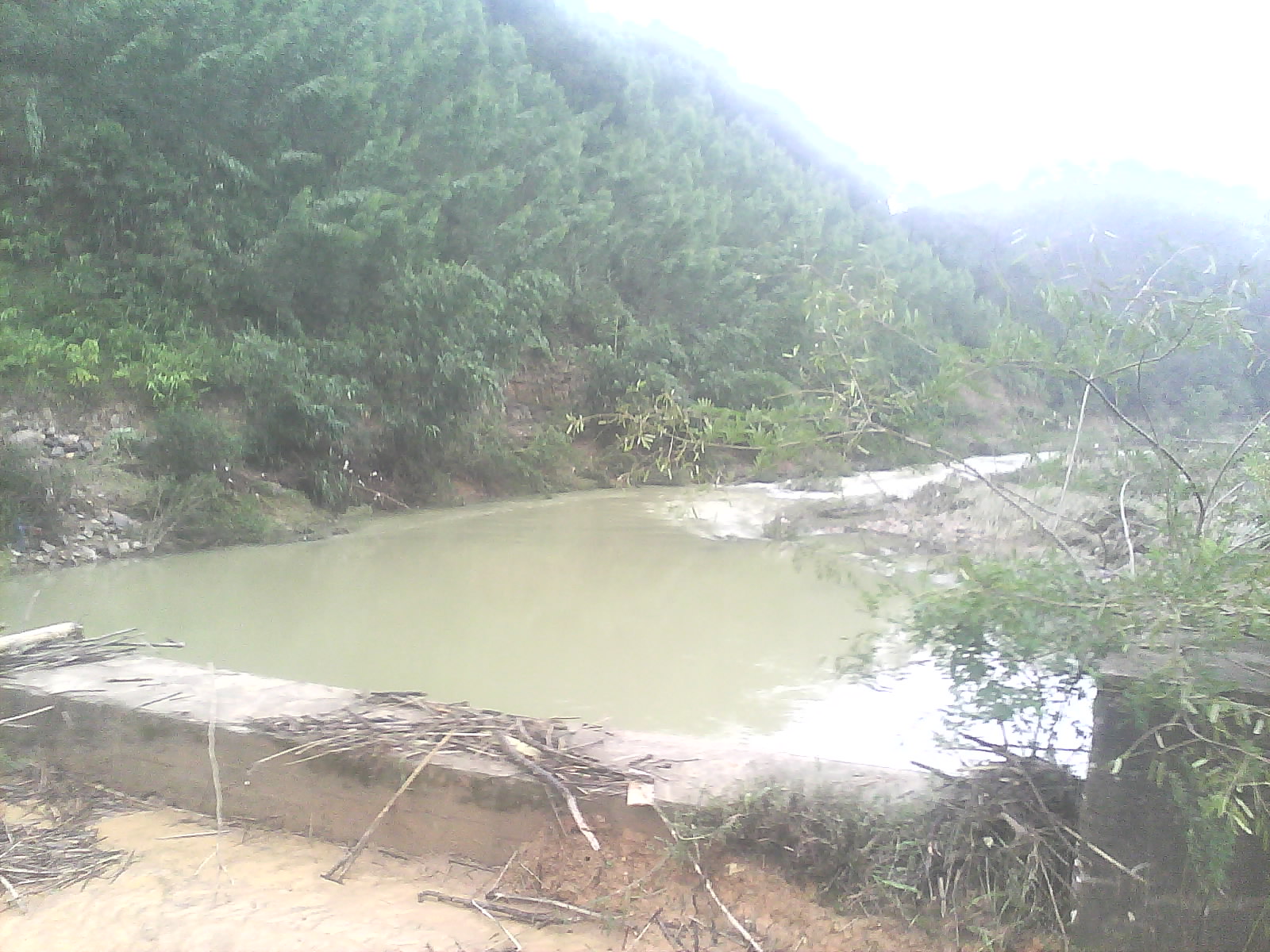 IMG0257A.jpg