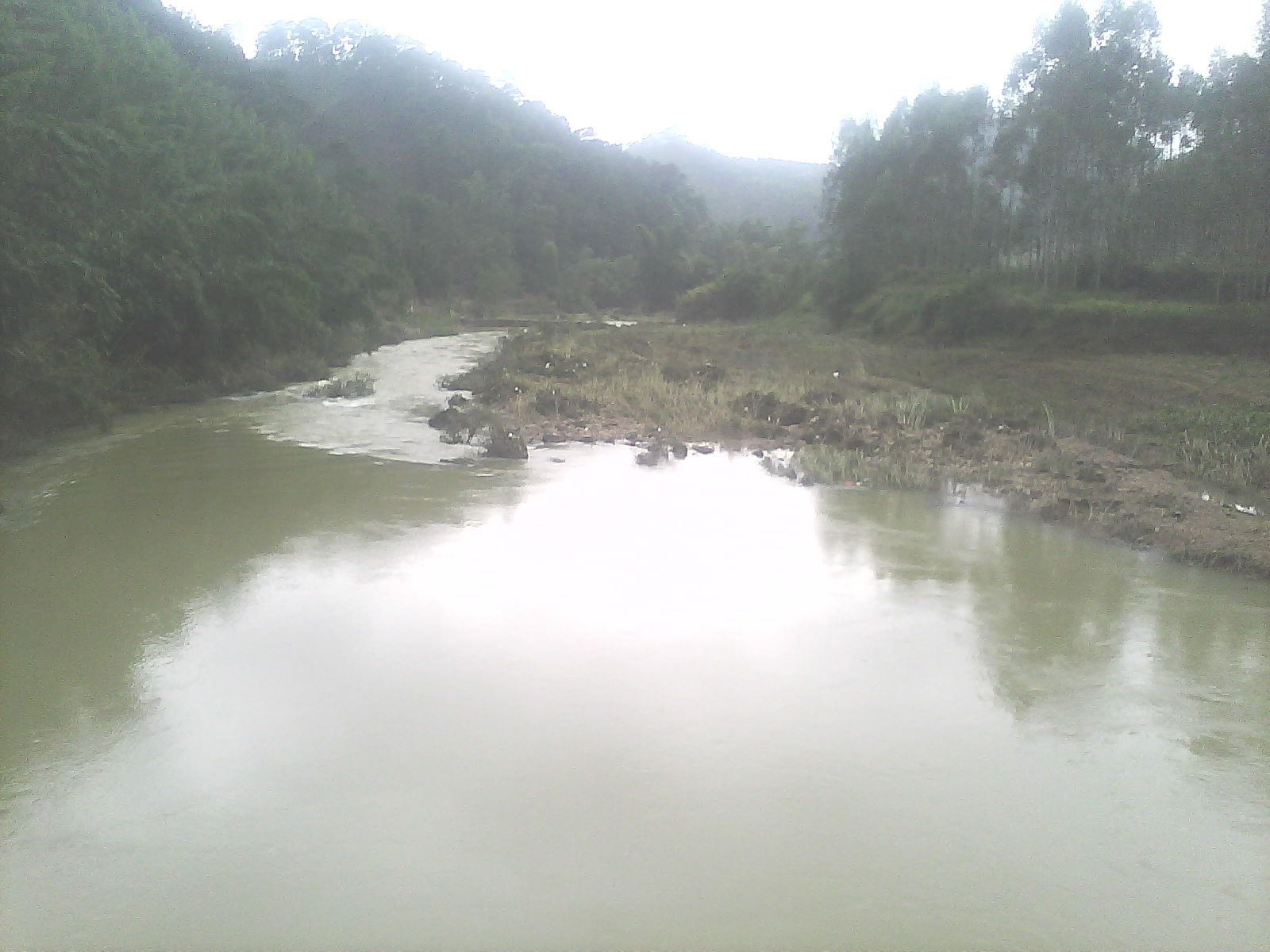 IMG0259A.jpg