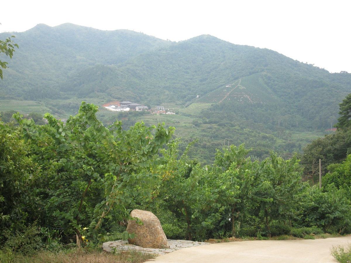 远眺3