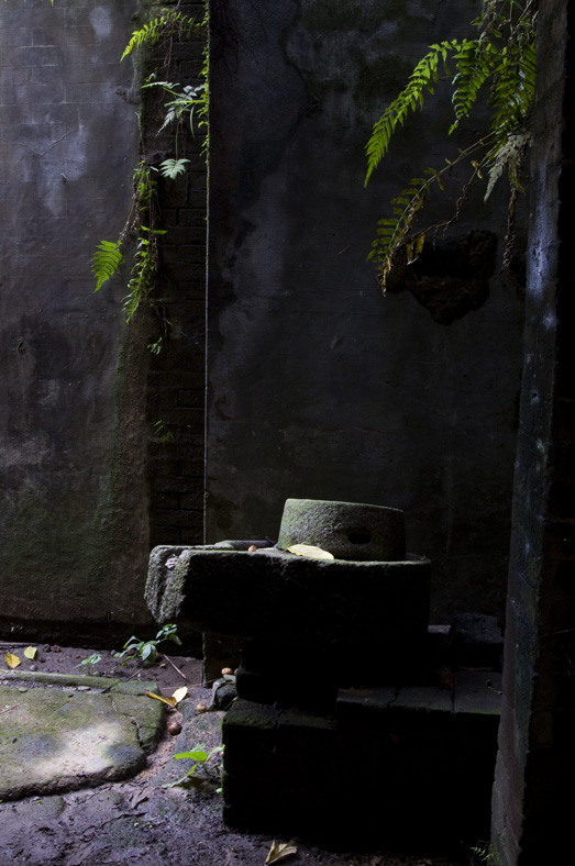 DSC_0145x.jpg