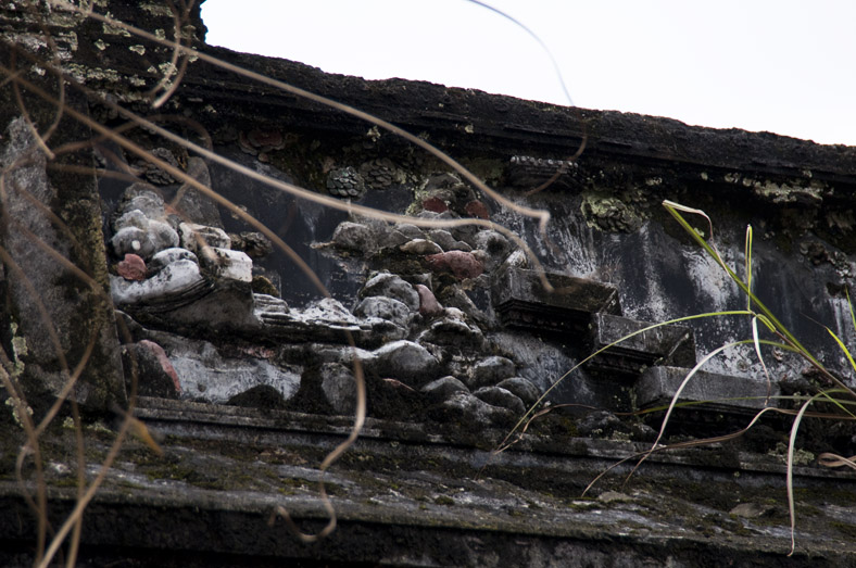 DSC_0168x.jpg