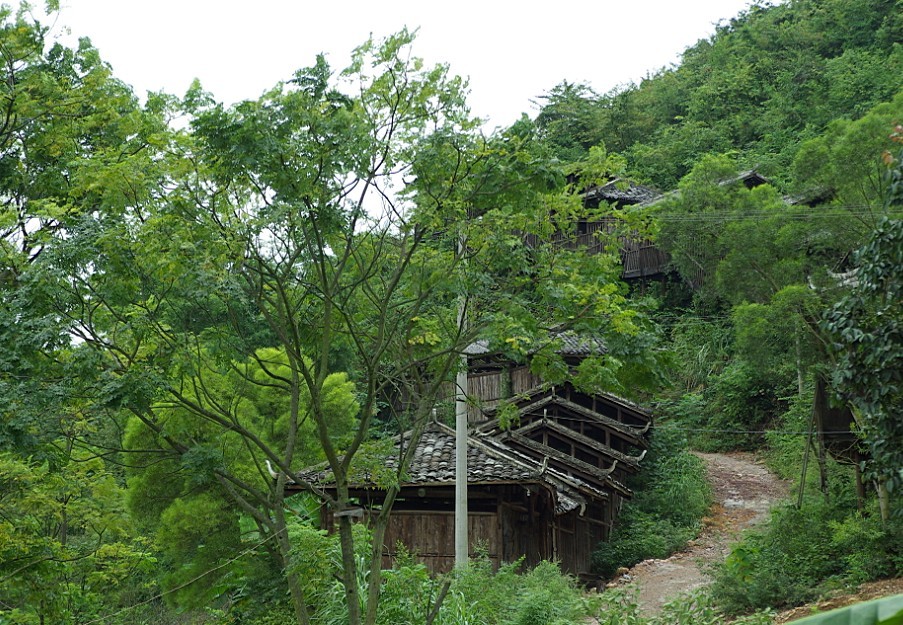 百色路上2.jpg