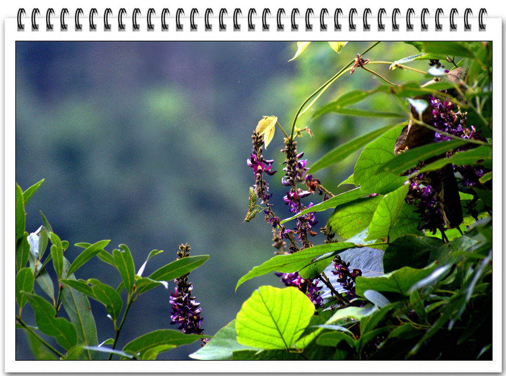 DSC02486.JPG
