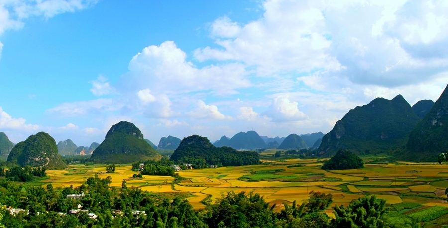 未标题_全景图8b.jpg