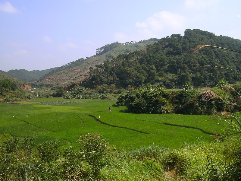 DSCK2777.JPG
