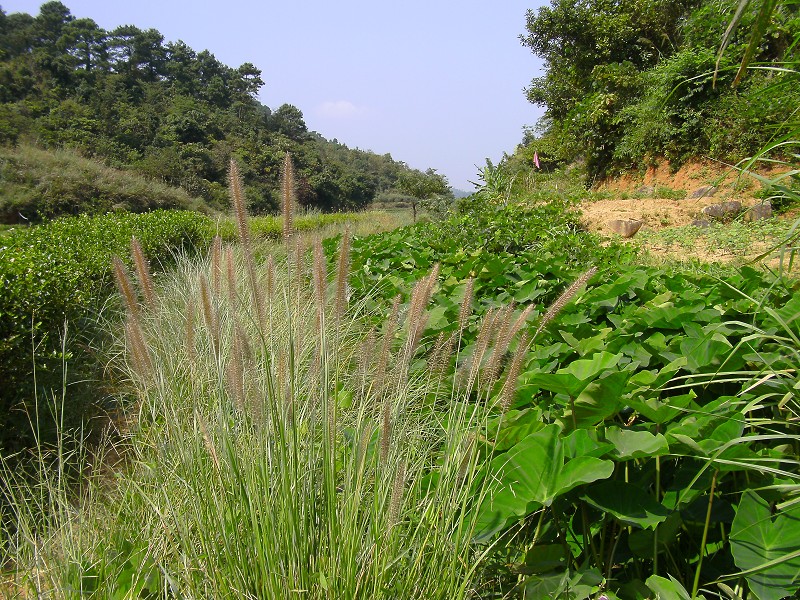 DSCK2794.JPG