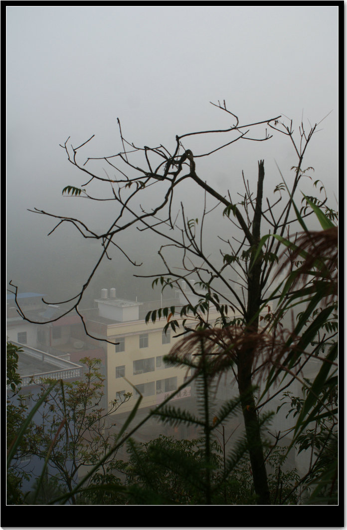 DSC03214.jpg