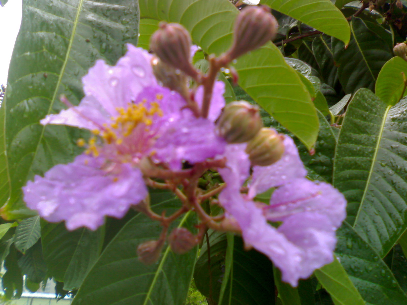 20111012344.jpg