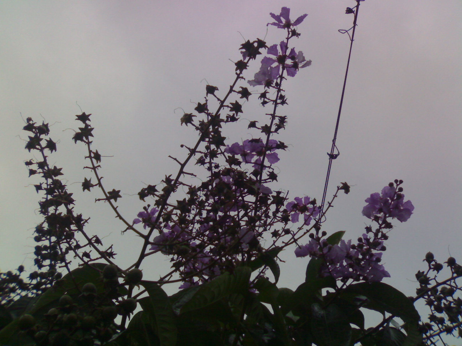 20111012342.jpg