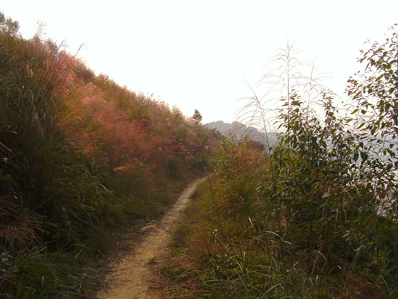 DSCK2896.JPG