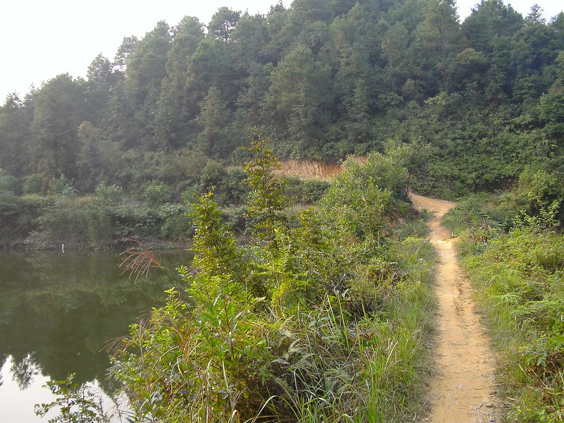 DSCK2900.JPG