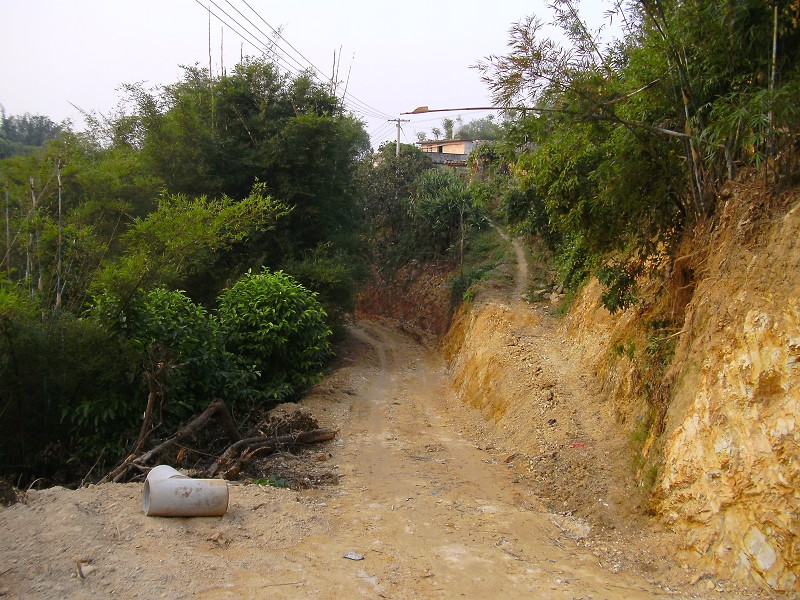 DSCK2911.JPG