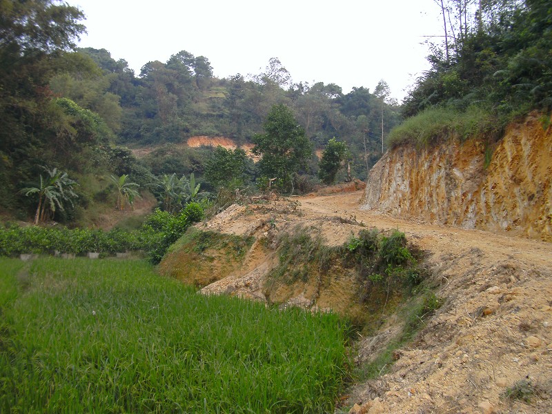DSCK2920.JPG
