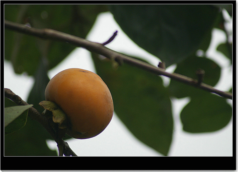 DSC03578.JPG