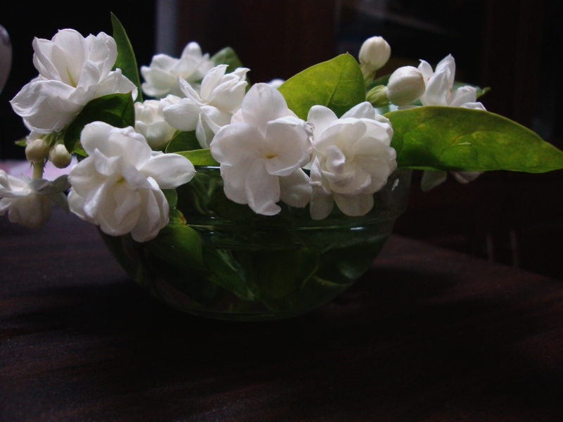 DSC01834.jpg