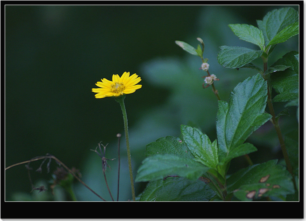 DSC03524.JPG