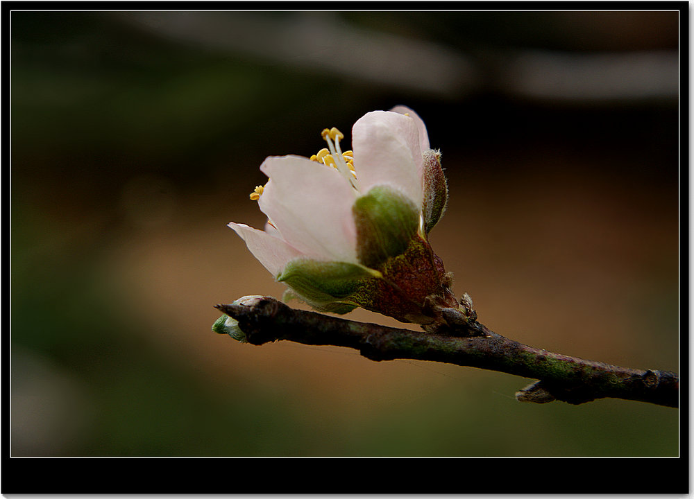 DSC03856.JPG