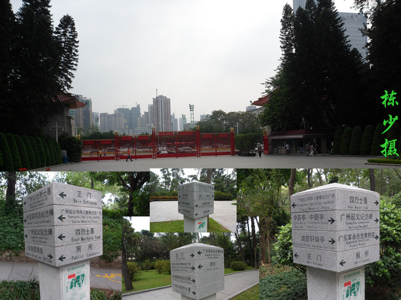 SAM_2298_副本.jpg