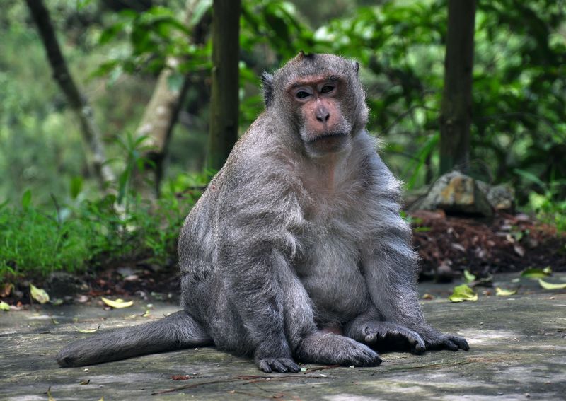 DSC_1316.jpg