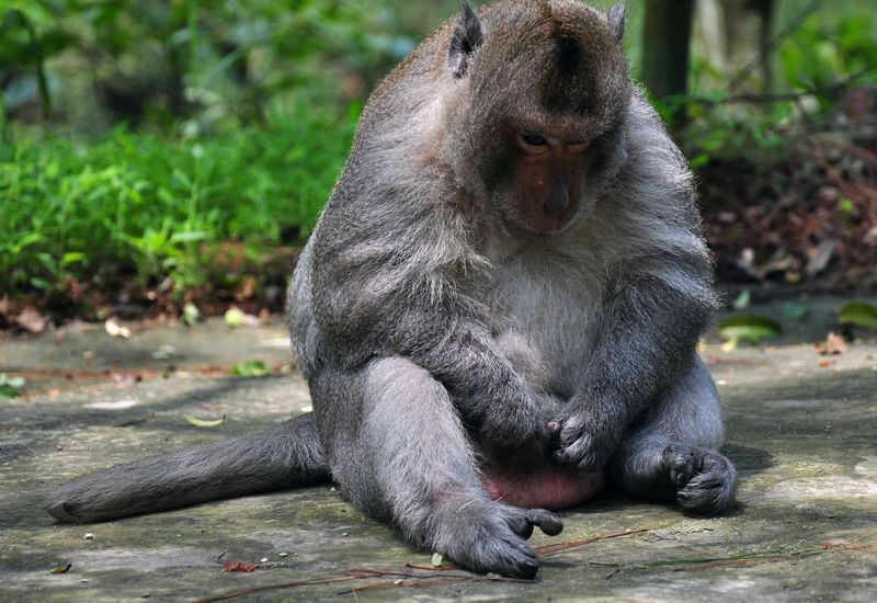 DSC_1319.jpg