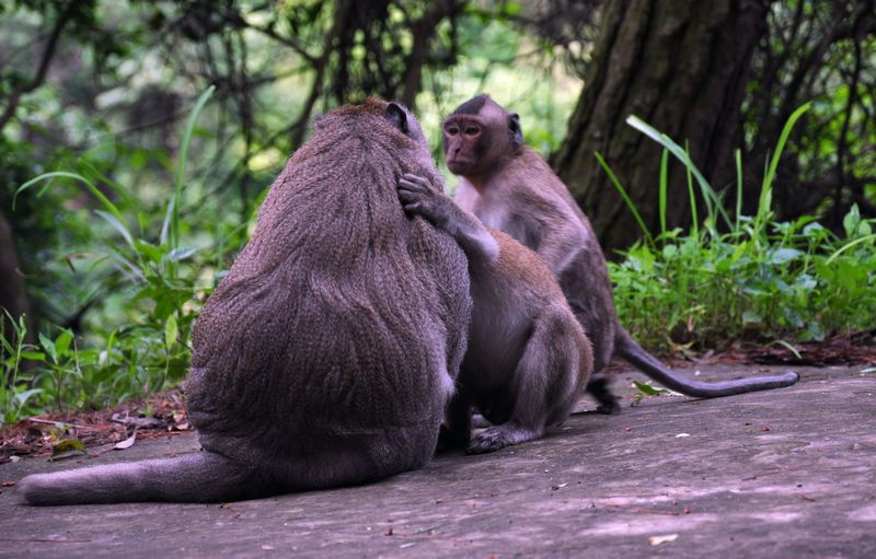 DSC_1329.jpg