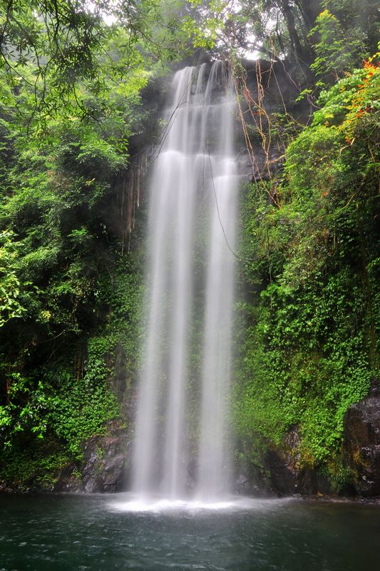 DSC_2275.jpg