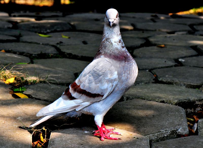 DSC_3311.jpg