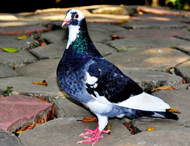 DSC_3315.jpg