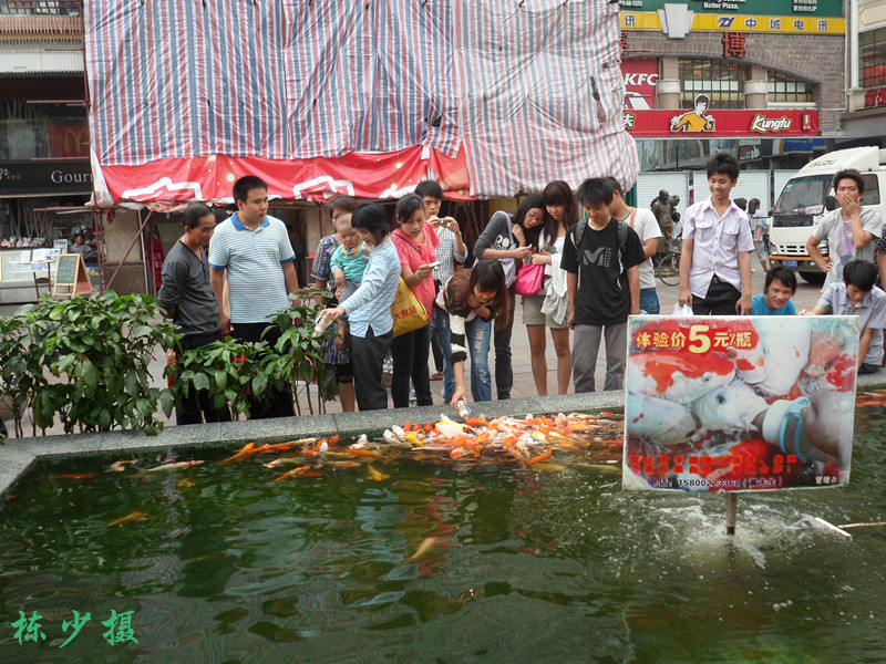SAM_2616_副本.jpg
