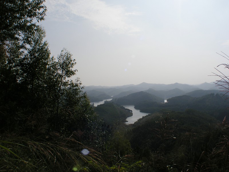 DSCF0008.jpg
