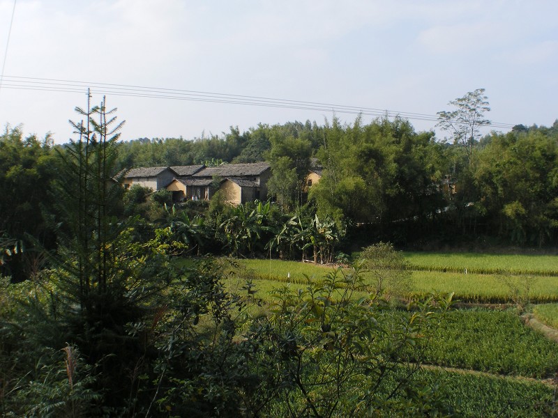 DSCF0017.jpg