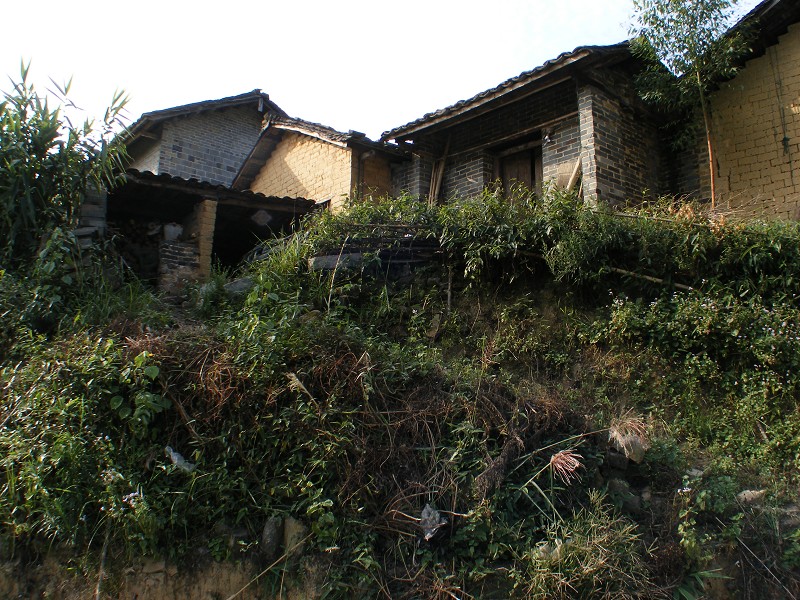 DSCF0025.jpg