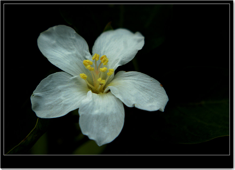 DSC04322.JPG