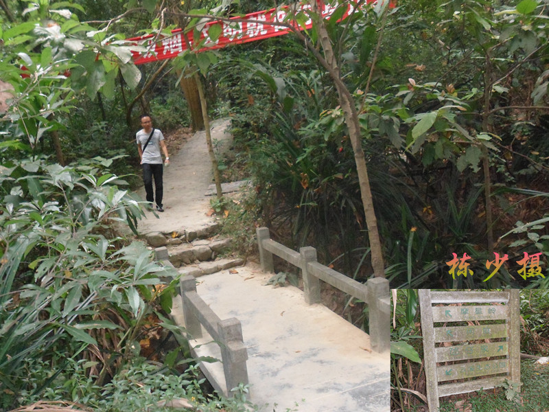 SAM_2881_副本.jpg