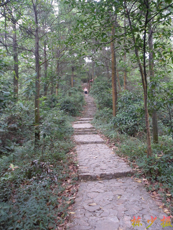 SAM_2896_副本.jpg
