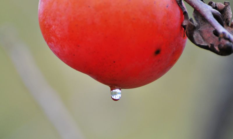 DSC_5717.jpg
