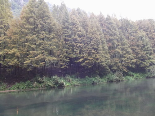 DSCF123200222.JPG