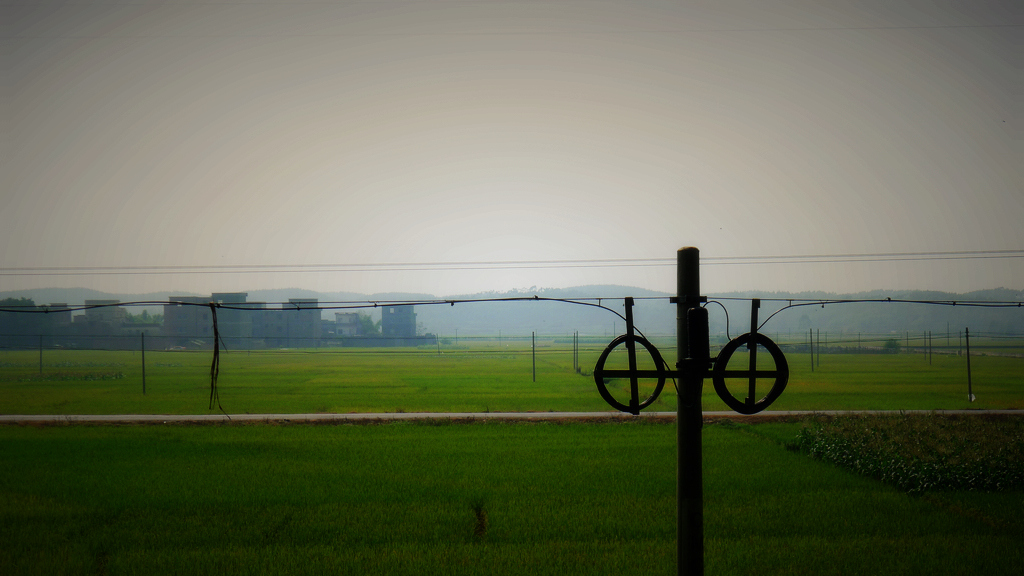 L11009080.jpg