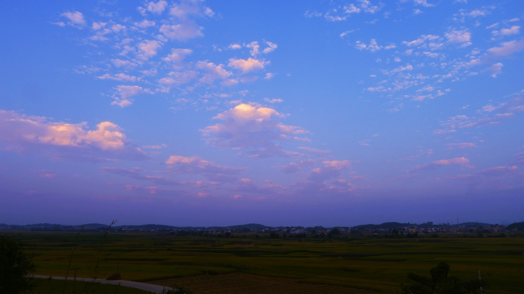 L1130415.JPG