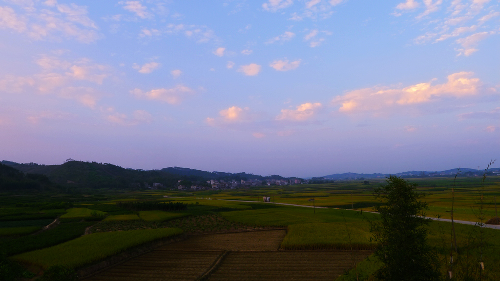 L1130443.JPG