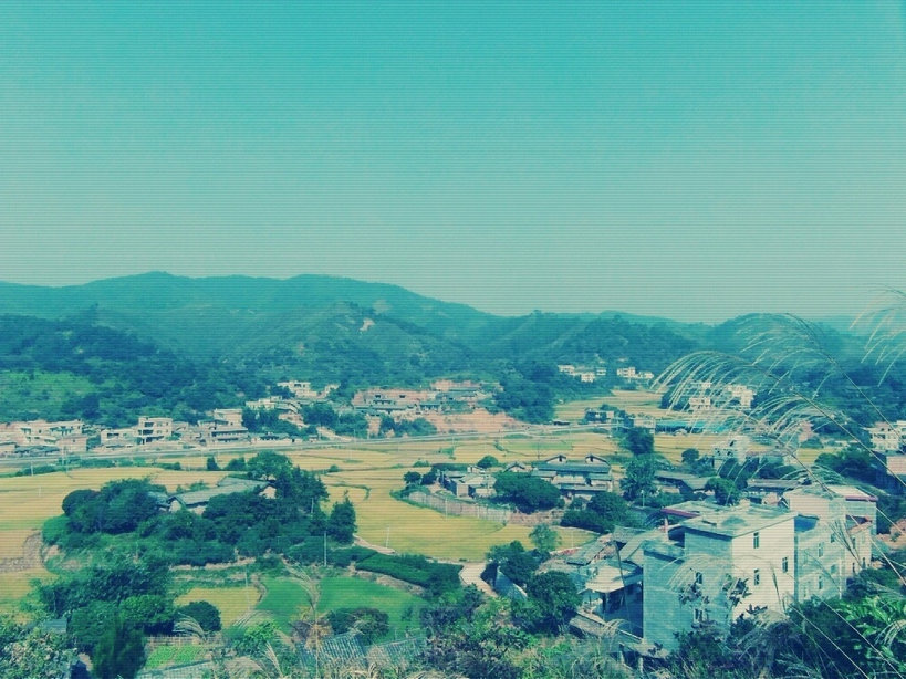 SAM_0202_副本_副本.JPG
