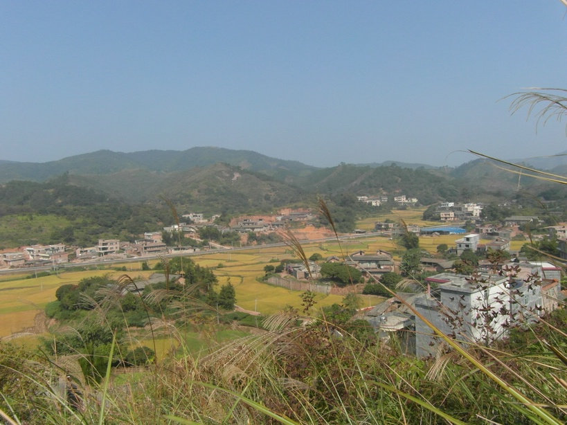 SAM_0210_副本1.JPG
