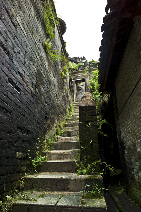 李萼楼-6.jpg