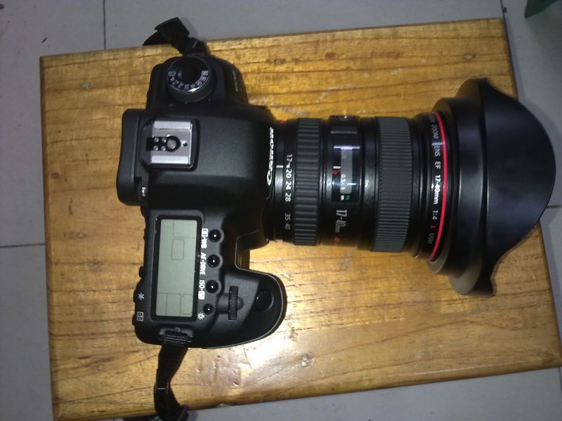 20111115061.jpg