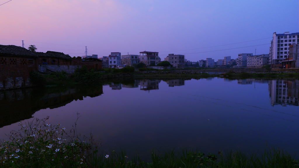 L1160678.jpg