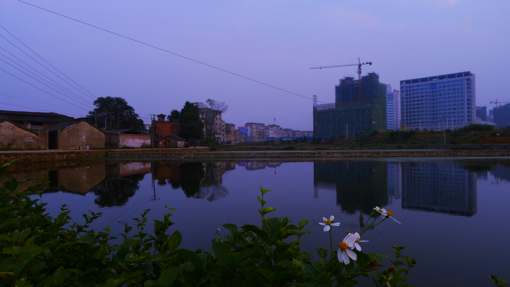 L1160669.jpg