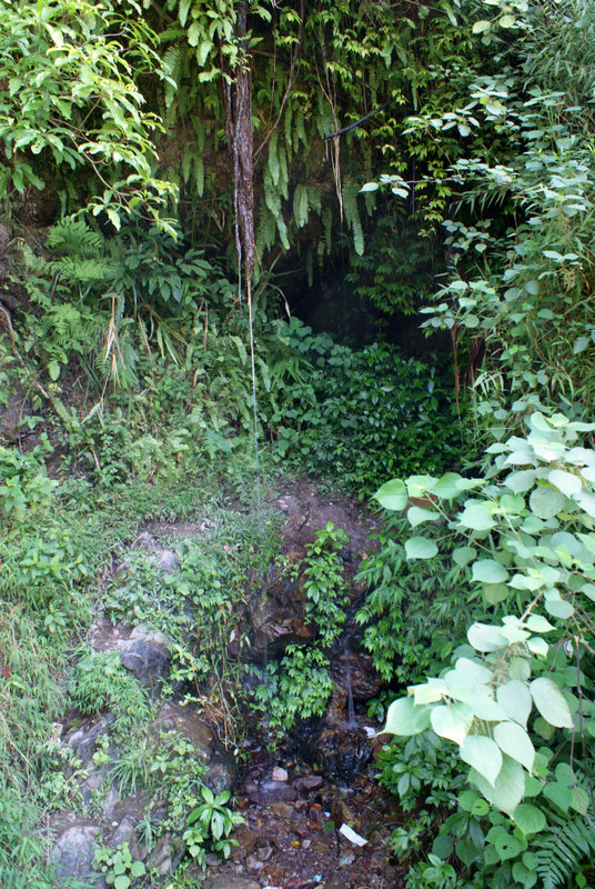 DSC04781.JPG