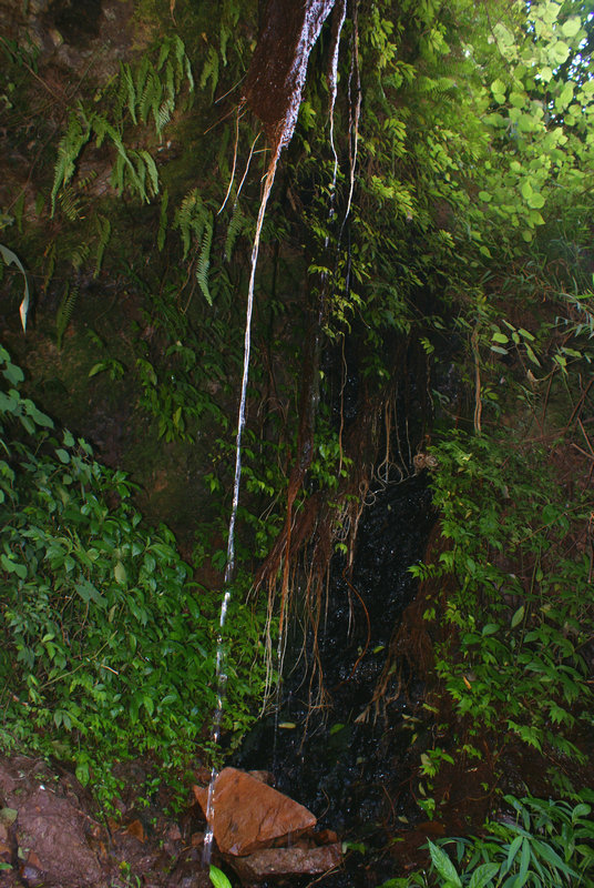 DSC04785.JPG